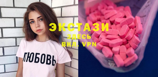 индика Медногорск