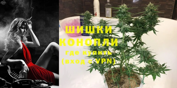 индика Медногорск