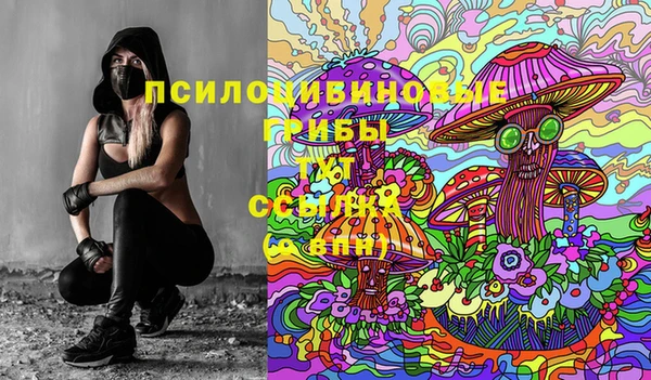 ГАЛЛЮЦИНОГЕННЫЕ ГРИБЫ Алексеевка
