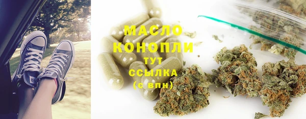 индика Медногорск