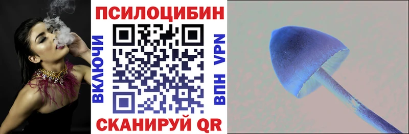 Псилоцибиновые грибы Psilocybe  сколько стоит  Амурск 