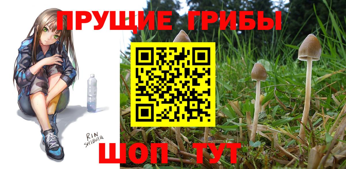 Псилоцибиновые грибы Psilocybine cubensis  Вход с VPN  Амурск 