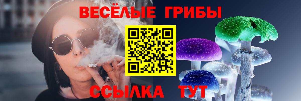 Псилоцибиновые грибы Psilocybine cubensis Амурск